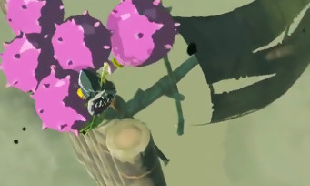 Zelda Breath of the Wild : on peut transformer un radeau en montgolfière