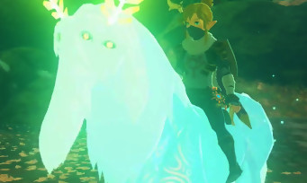 Zelda Breath of the Wild : voici comment capturer le "Cheval Alpha"