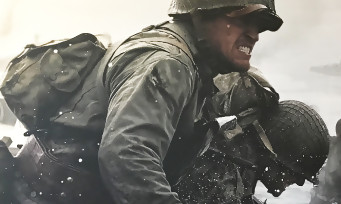 Call of Duty WW2 : près de 3 ans de recherche sur la Seconde Guerre Mondiale. Pour beaucoup de joueurs