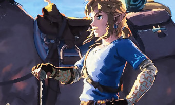 Zelda Breath of the Wild : un joueur atteint le sommet du jeu en lévitant