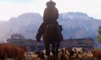 Red Dead Redemption 2 : une première image du jeu in-game a semble-t-il fuité.... De manière générale