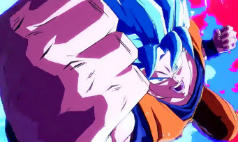 Dragon Ball FighterZ : Son Goku et Vegeta en Super Saiyajin Bleu seront bien dans le jeu