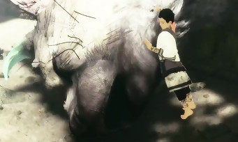 genDESIGN : les créateurs de The Last Guardian recrutent pour leur nouveau jeu. Sorti il y a bientôt un an